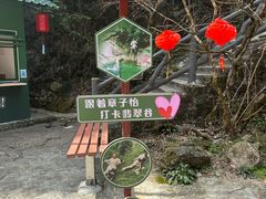 -黄山翡翠谷景区