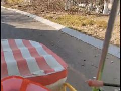 -济南国际园博园