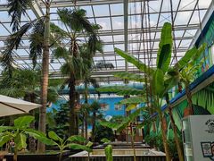 -观唐（国际）度假村温泉