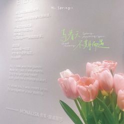 -青禾蒙娜丽莎婚纱摄影(武汉总店)
