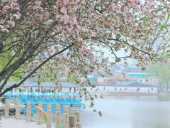 -莫愁湖公园