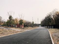 -永定河休闲森林公园