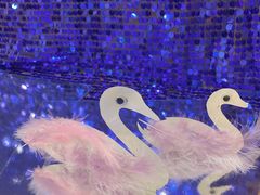 -金宝贝早教(南山花园城店)