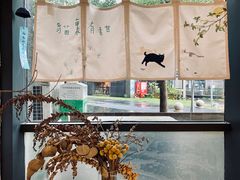 -猫里有甜