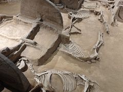 -洛阳周王城天子驾六博物馆