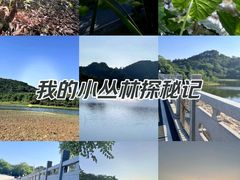 -黄山鲁森林公园