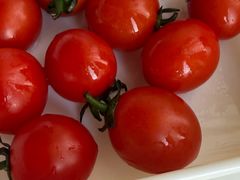 -春晖园度假酒店温泉