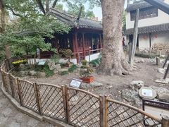 -上海醉白池公园