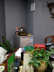 -乌贝卡专业假发