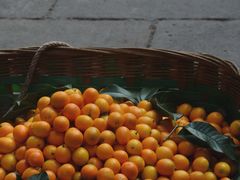 -刘记古镇羊肉汤