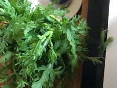 茼蒿-乔先生涮肉·鲜活牛羊肉火锅(塘沽店)