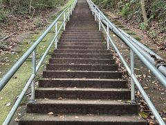 -惠山国家森林公园