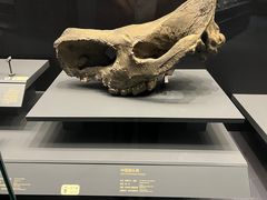 -贵州省博物馆(新馆)