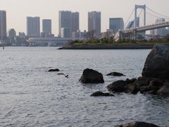 -台场海滨公园船码头