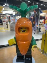 -乐高授权专卖店(西单大悦城店)