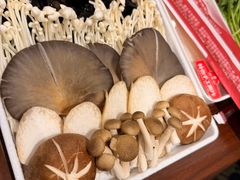 -蝎王府羊蝎子(天通苑店)