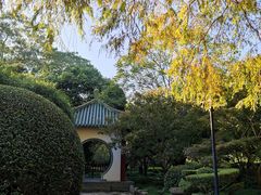 -中山公园