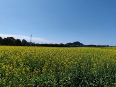 -光明小镇欢乐田园