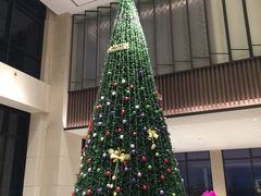 大堂-上海金山滨海铂骊酒店-铂雅全日餐厅