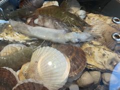 -大锅强·蒸海鲜青岛菜(金沙滩店)
