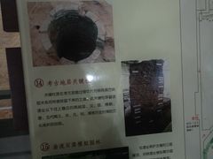 -南越王博物院(王宫展区)