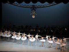 -北京大学百年讲堂