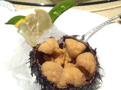 海胆刺身-玖号公馆