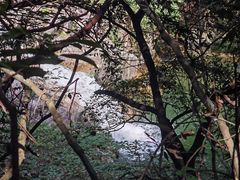 -花岩国家森林公园