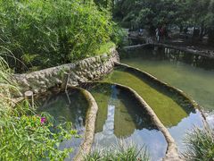 -成都市活水公园