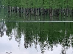 -白鹭湾湿地公园