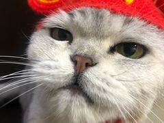 -簋街