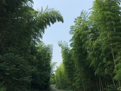 -径山寺