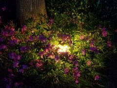 -杰仕健身百合天地会所(海宁百合新城店)