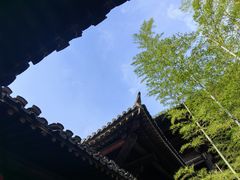 -大唐贡茶院