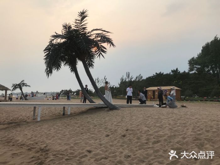 北戴河东海水浴场图片