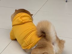 -怪兽屋·羊驼·猫咖·狗咖(俊华广场店)