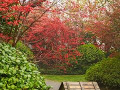 -桃花岛景观公园