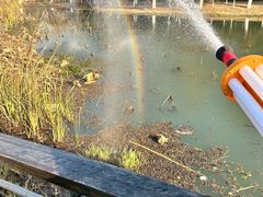 -昆山城市生态森林公园