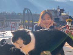 -喵屿·大理花园猫咖