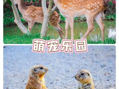 -佛冈森波拉度假区