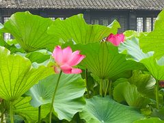 -清晏园