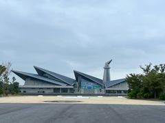 -盐城丹顶鹤湿地生态旅游区