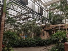 -南宫五洲植物乐园