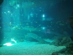 -福州罗源湾海洋世界旅游区