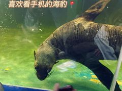 -重庆欢乐海底世界