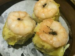 -糖朝(尖沙咀店)