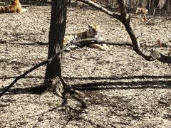 -哈尔滨北方森林动物园