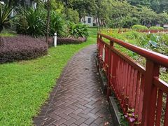 -荔湾湖公园