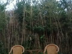 -骏途旅游