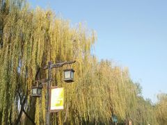 -西安汉城湖景区